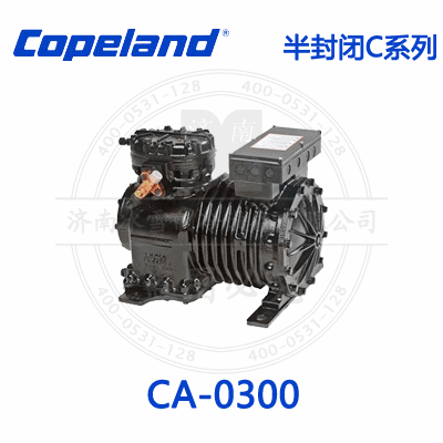 Copeland/谷轮C系列半封闭压缩机CA-0300